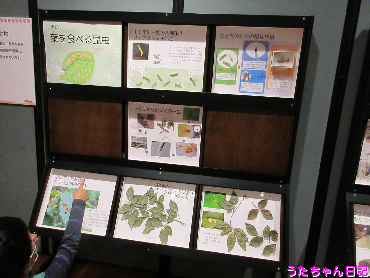 f:id:utachan0831:20201122215338j:plain