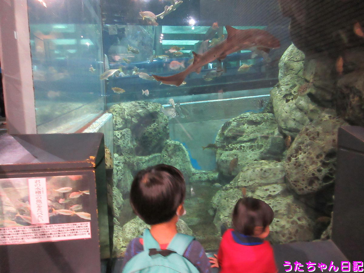 f:id:utachan0831:20201122215442j:plain