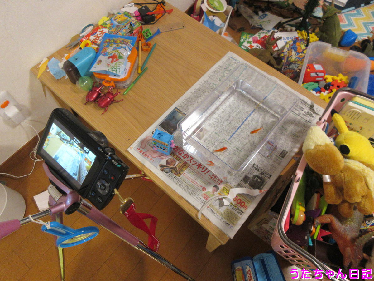 f:id:utachan0831:20201201173026j:plain