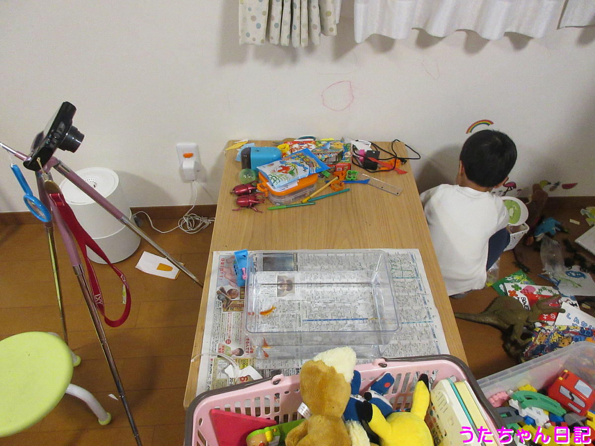 f:id:utachan0831:20201201173039j:plain