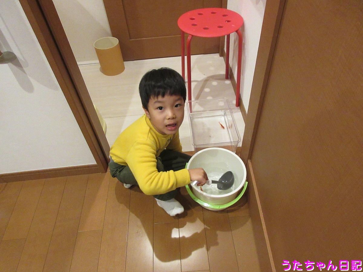 f:id:utachan0831:20201207000032j:plain