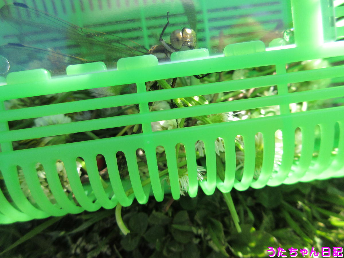 f:id:utachan0831:20201208002834j:plain