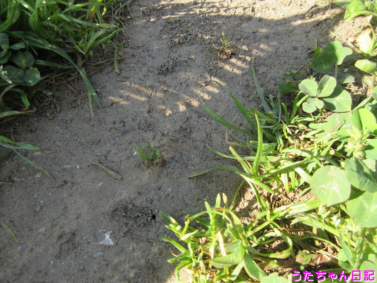 f:id:utachan0831:20201208002845j:plain