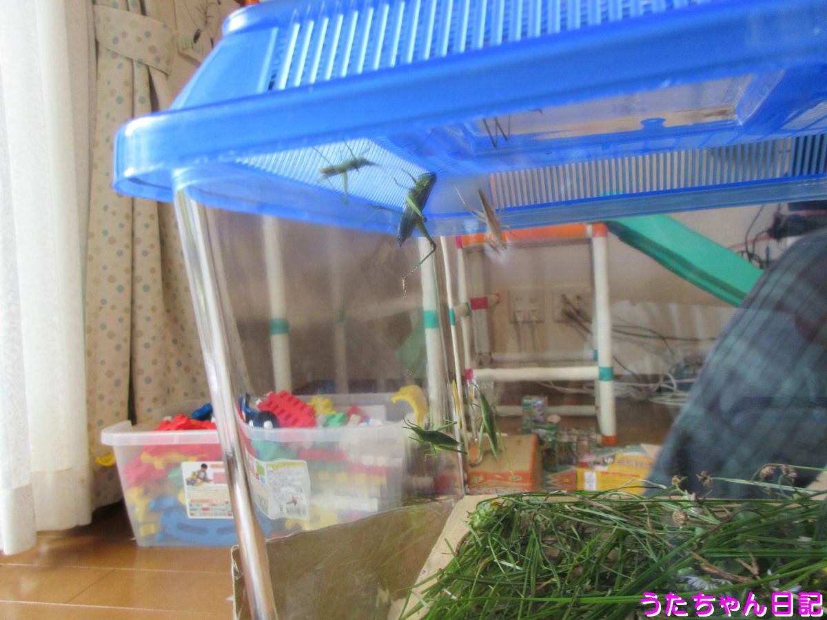 f:id:utachan0831:20201210174538j:plain