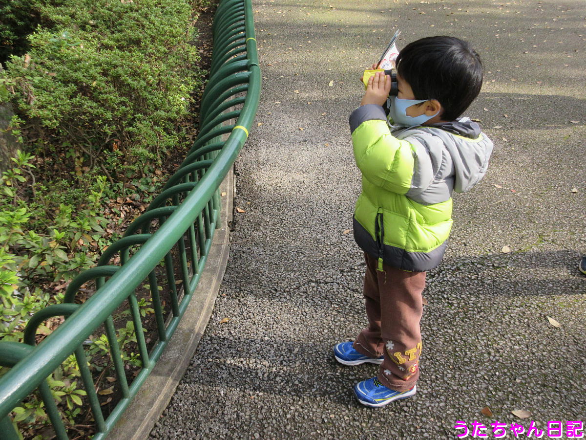 f:id:utachan0831:20201217024527j:plain