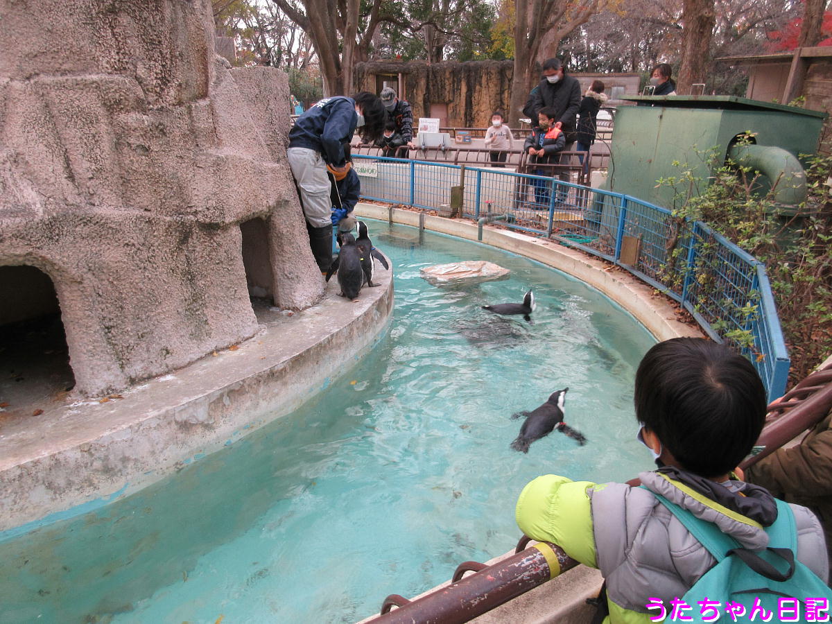 f:id:utachan0831:20201217024722j:plain