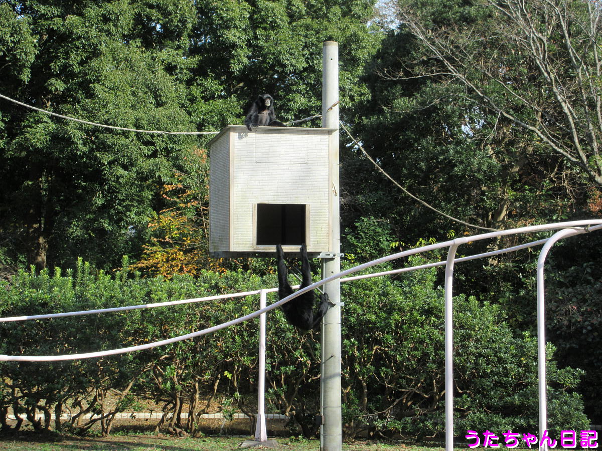 f:id:utachan0831:20201217032631j:plain