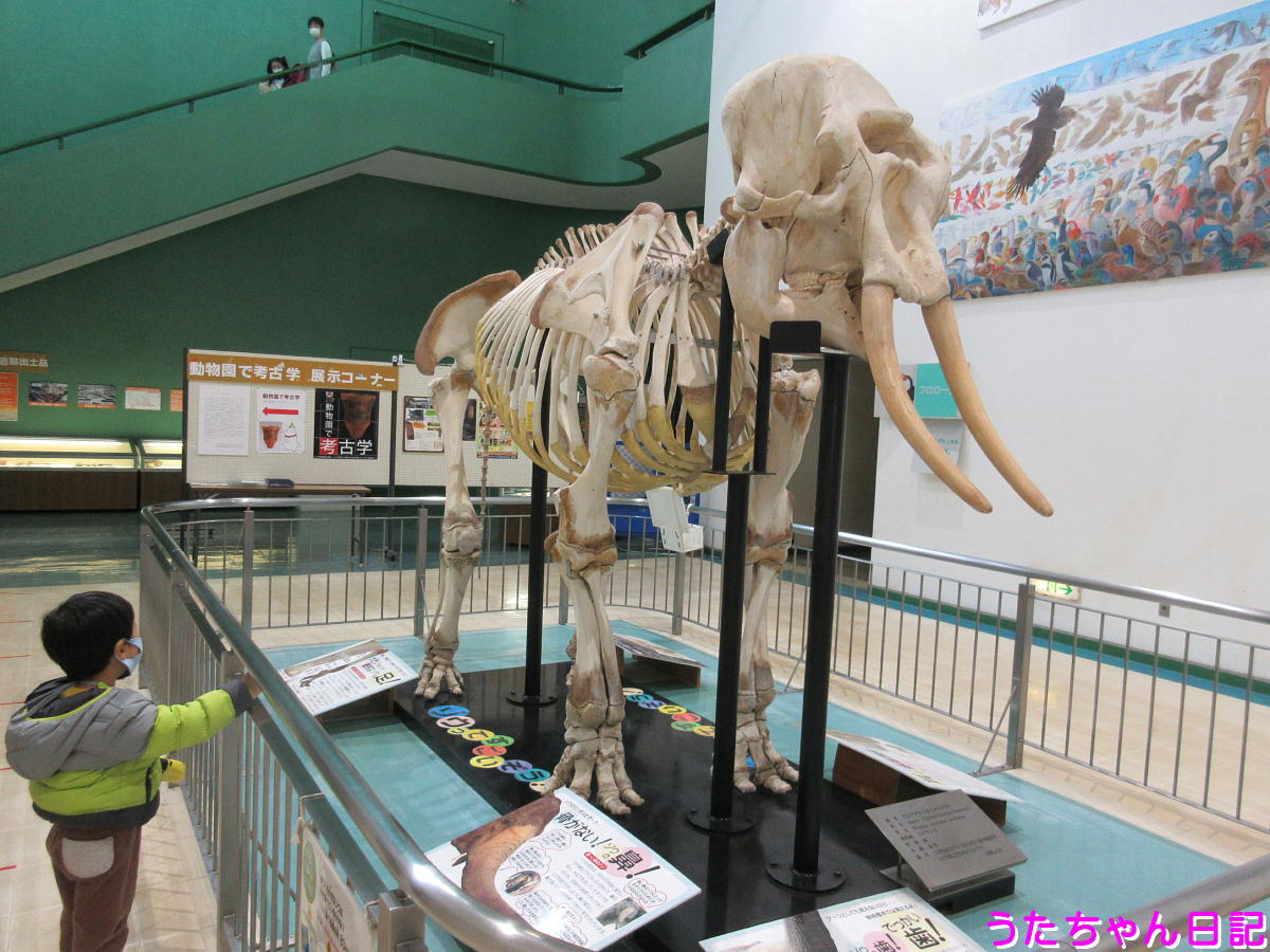 f:id:utachan0831:20201217032641j:plain