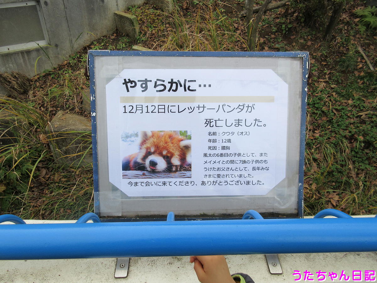 f:id:utachan0831:20201217032713j:plain