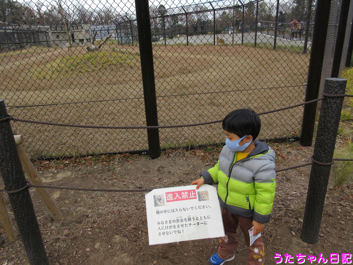 f:id:utachan0831:20201217032757j:plain