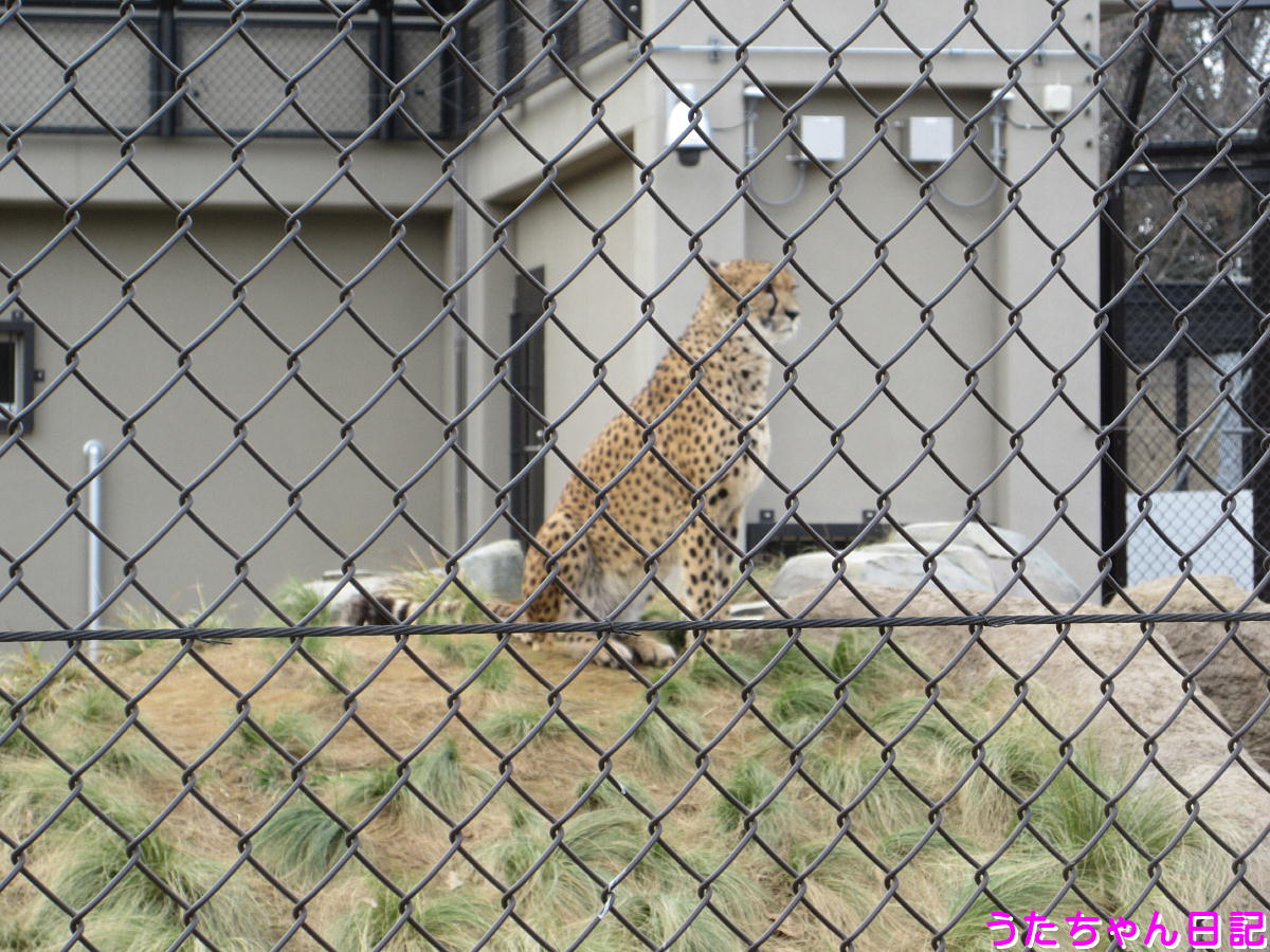 f:id:utachan0831:20201217032820j:plain