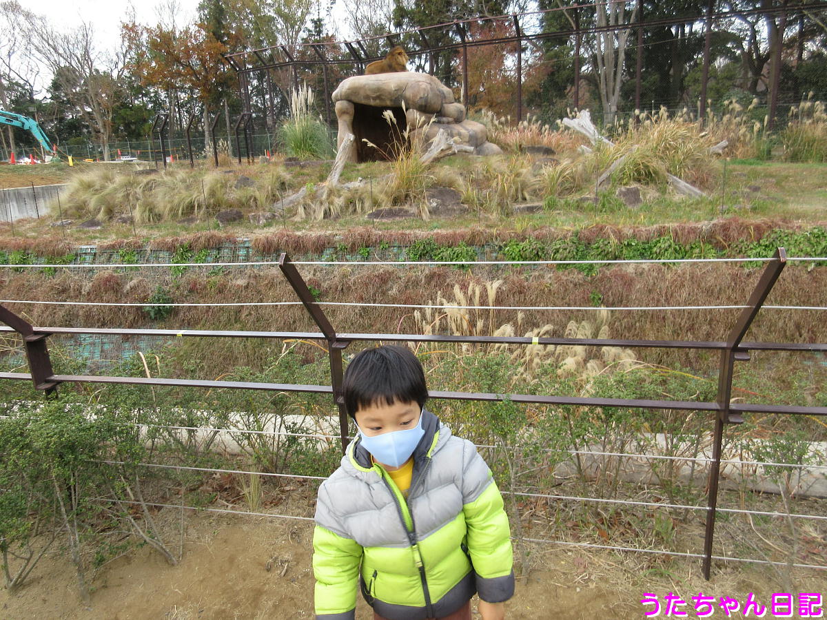 f:id:utachan0831:20201217032832j:plain