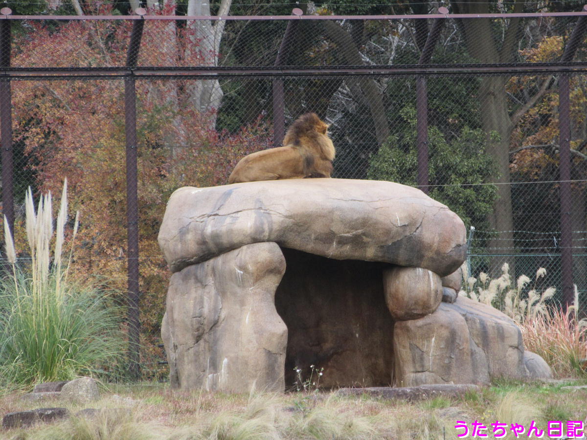 f:id:utachan0831:20201217032845j:plain