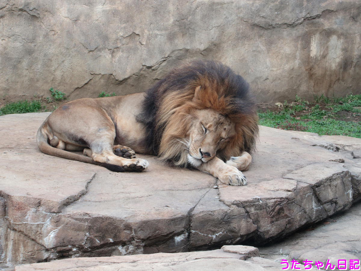 f:id:utachan0831:20201217032901j:plain