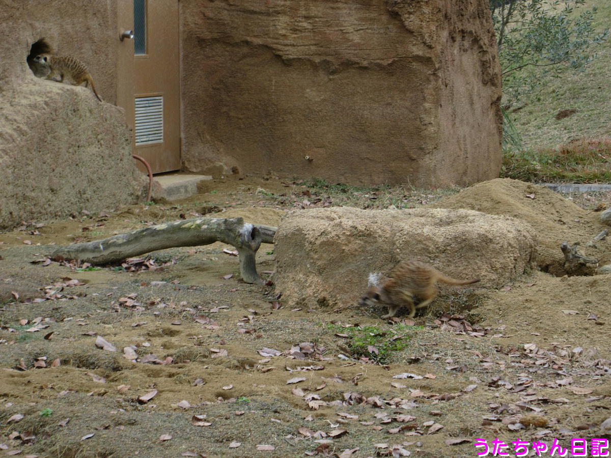 f:id:utachan0831:20201217032913j:plain