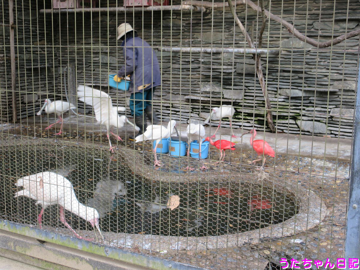 f:id:utachan0831:20201217032948j:plain