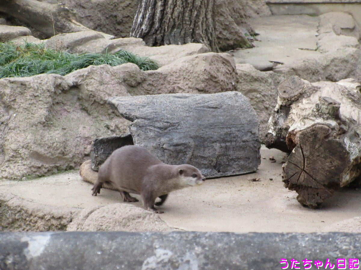 f:id:utachan0831:20201217033005j:plain