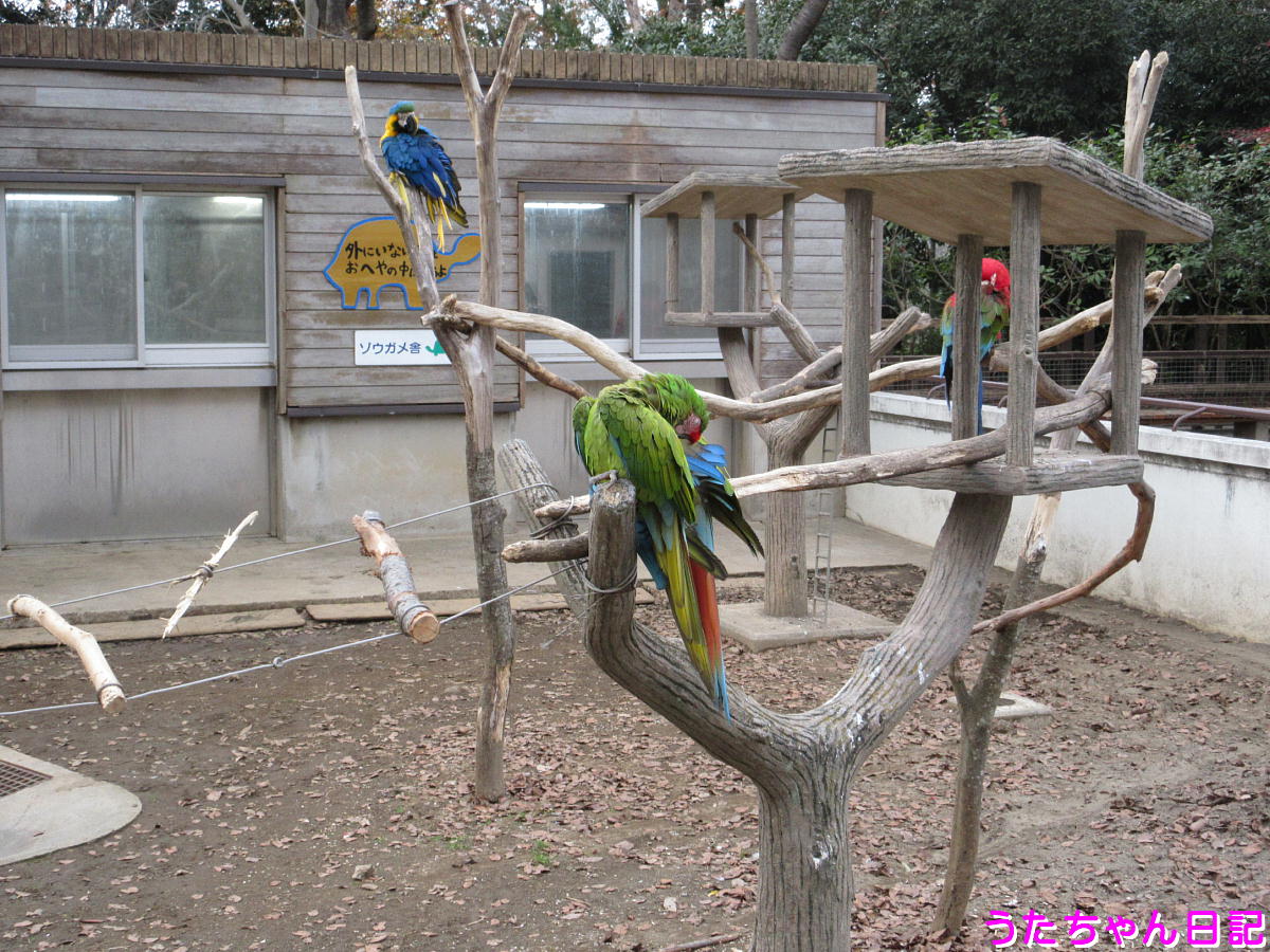 f:id:utachan0831:20201217033022j:plain