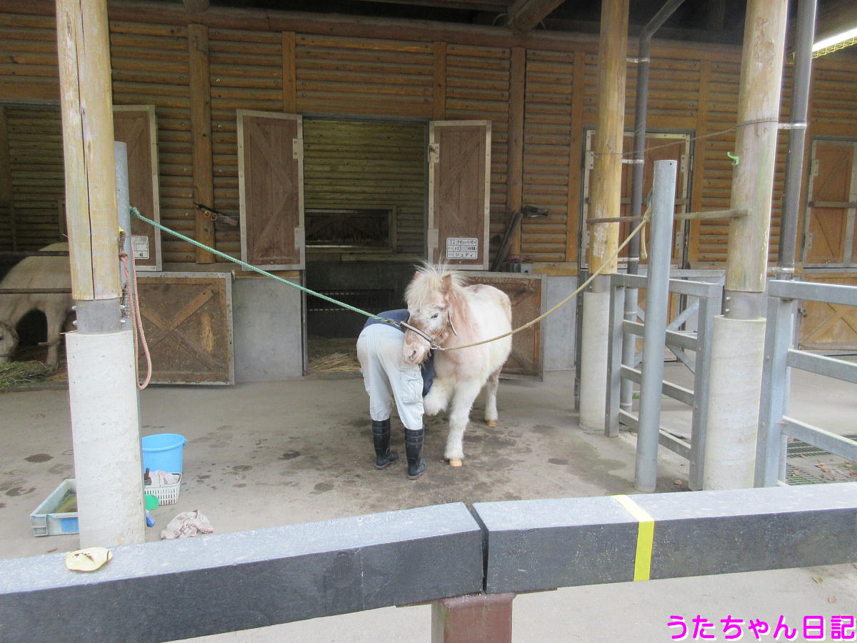 f:id:utachan0831:20201217033036j:plain