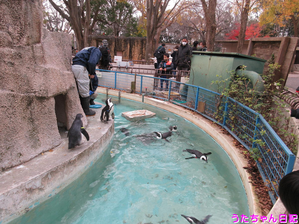 f:id:utachan0831:20201217033048j:plain