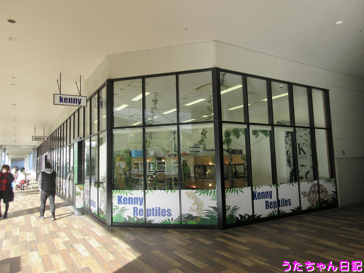 f:id:utachan0831:20201224004420j:plain