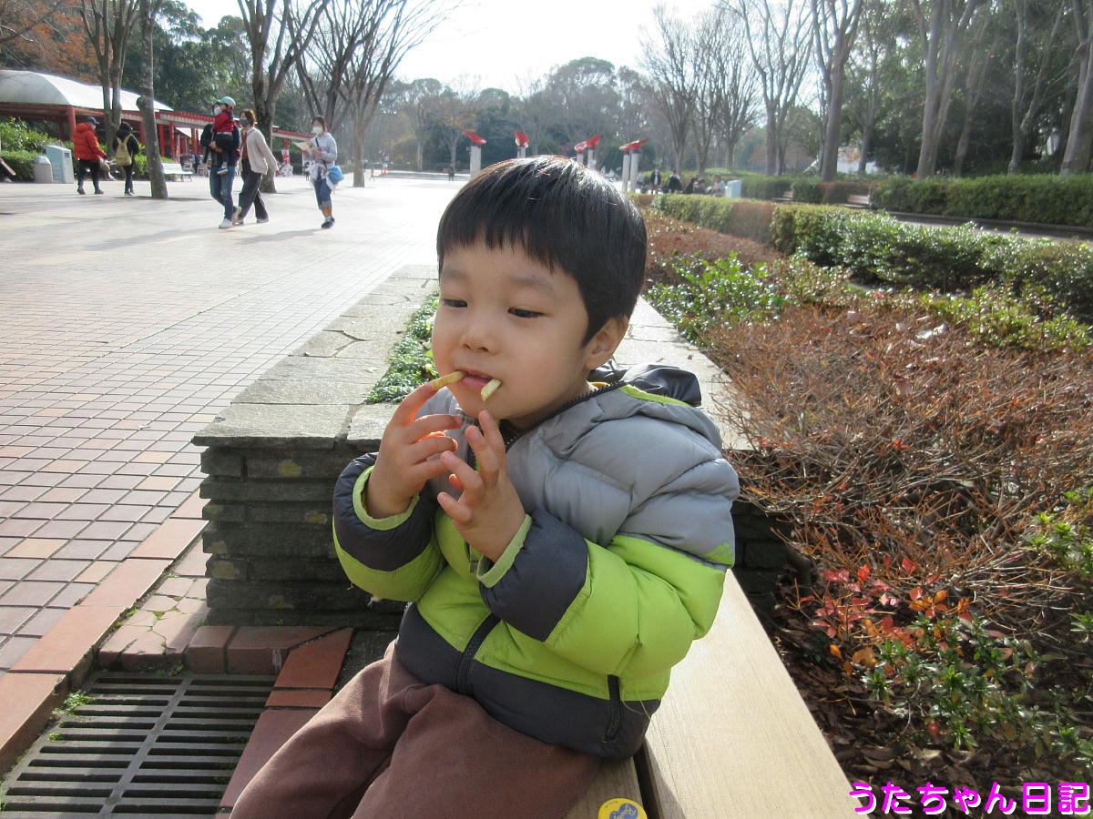 f:id:utachan0831:20201225170913j:plain