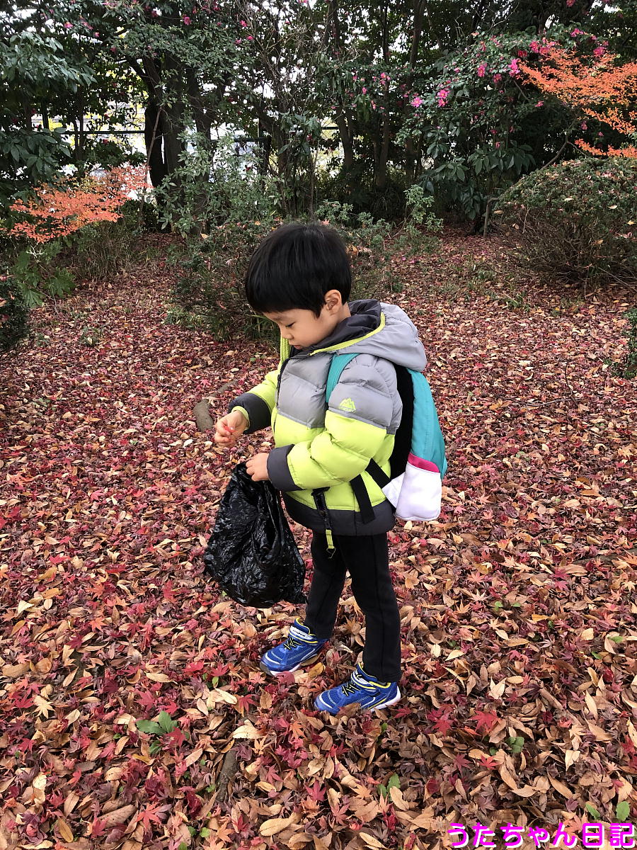 f:id:utachan0831:20210107064734j:plain