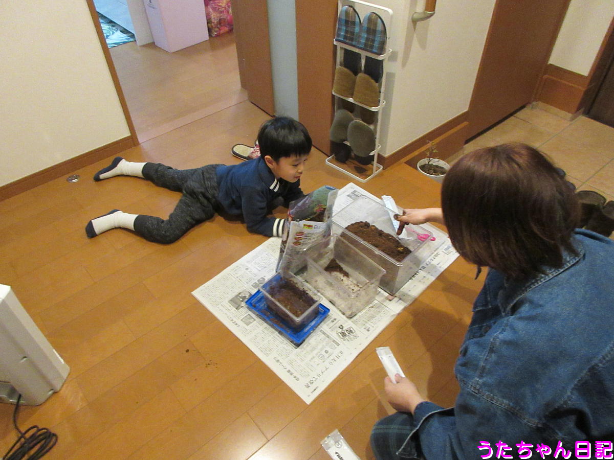 f:id:utachan0831:20210116162213j:plain