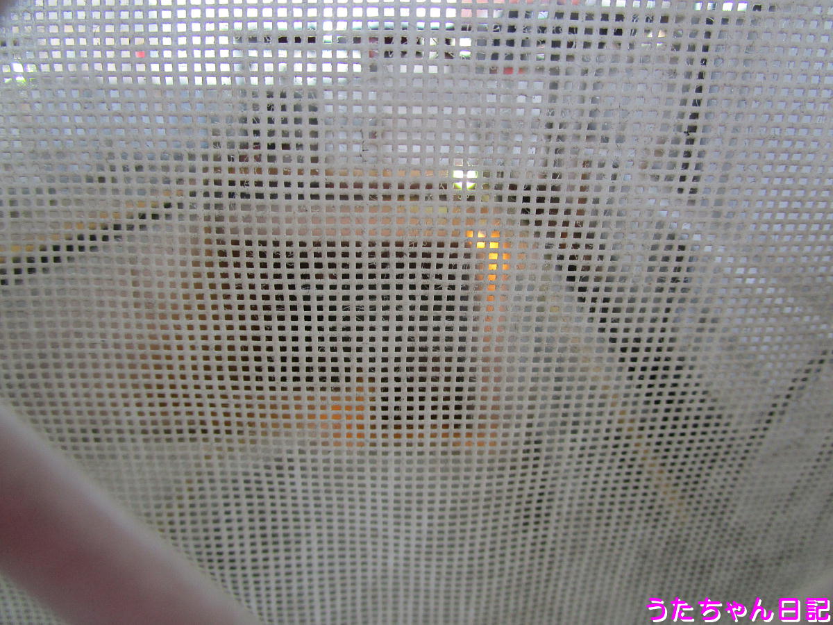 f:id:utachan0831:20210120161435j:plain