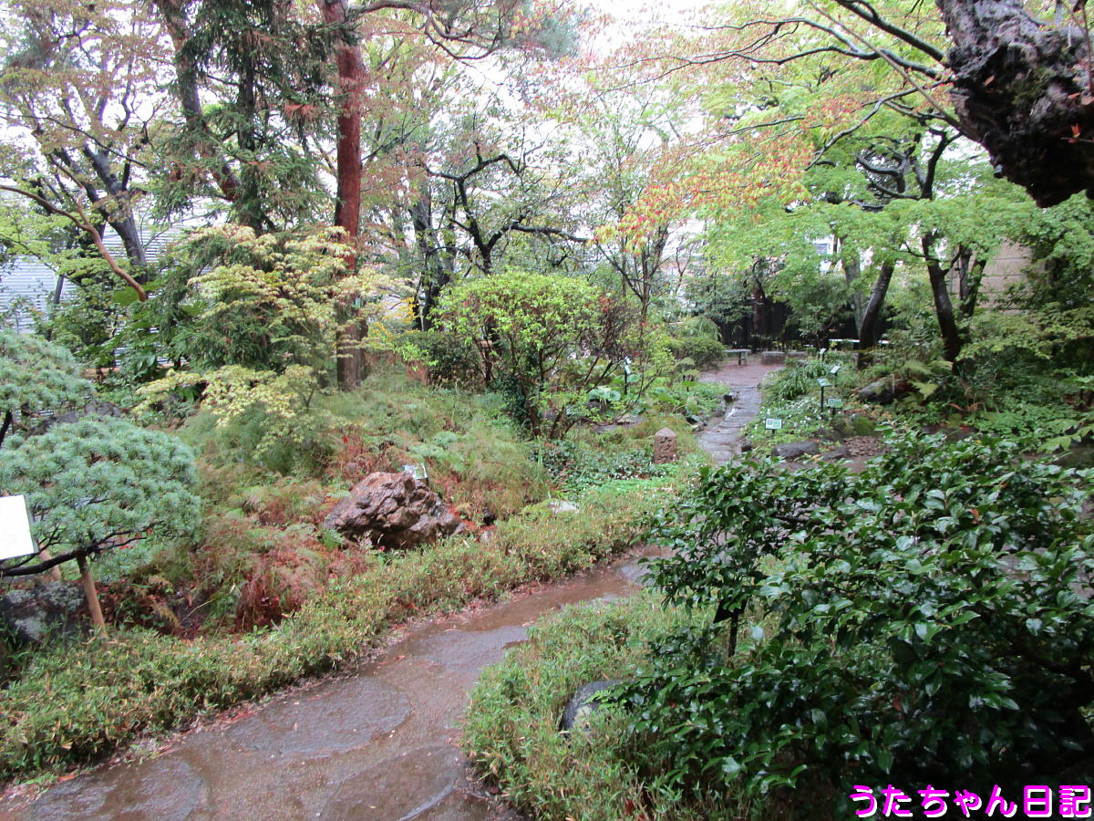 f:id:utachan0831:20210121162959j:plain