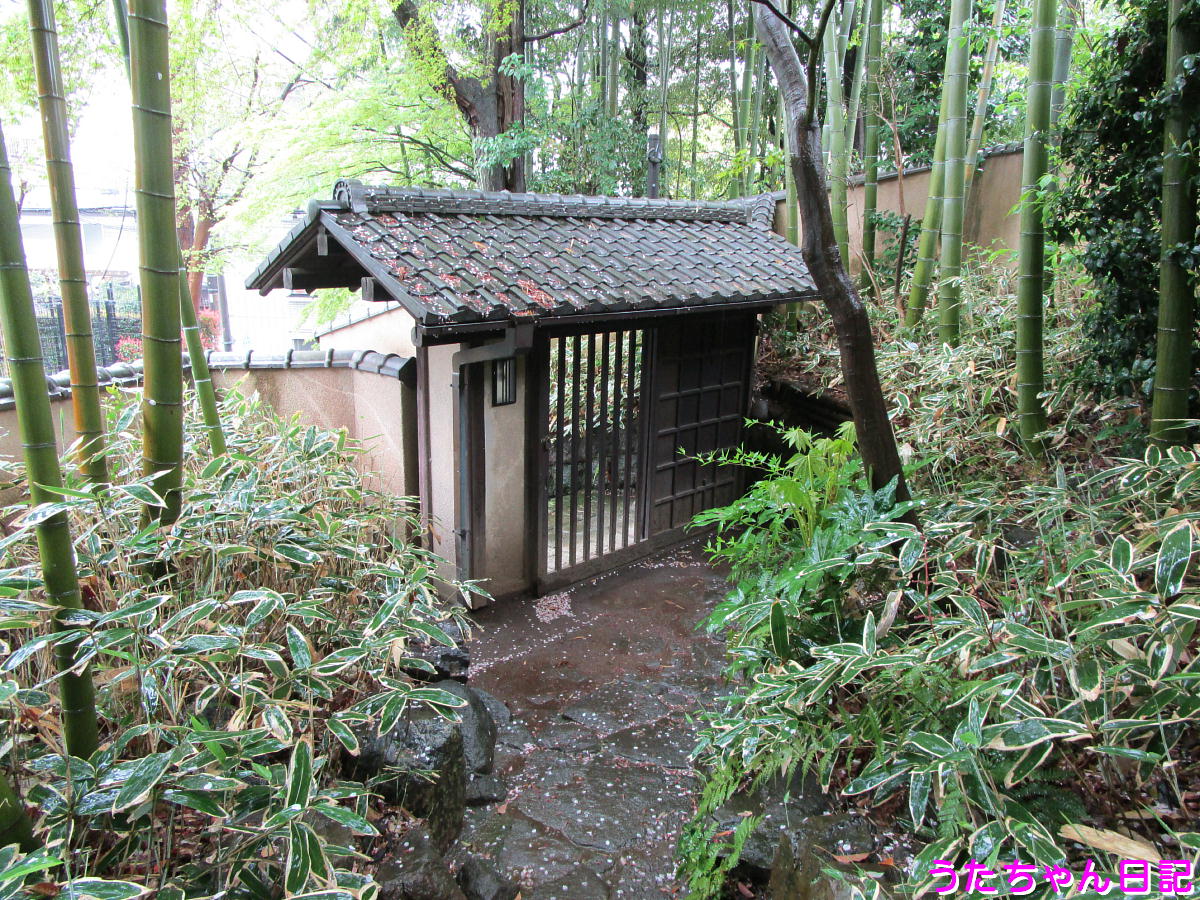 f:id:utachan0831:20210121163013j:plain