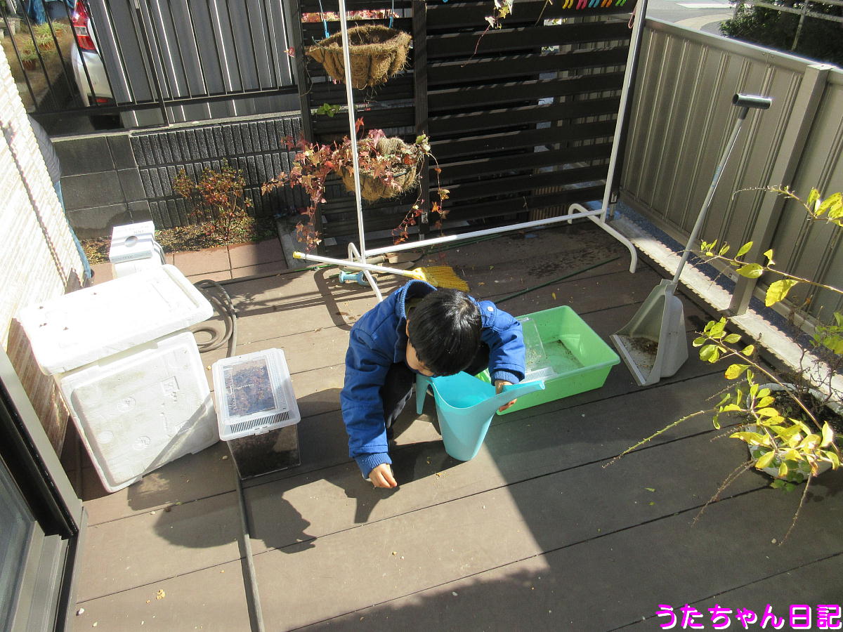 f:id:utachan0831:20210204215910j:plain