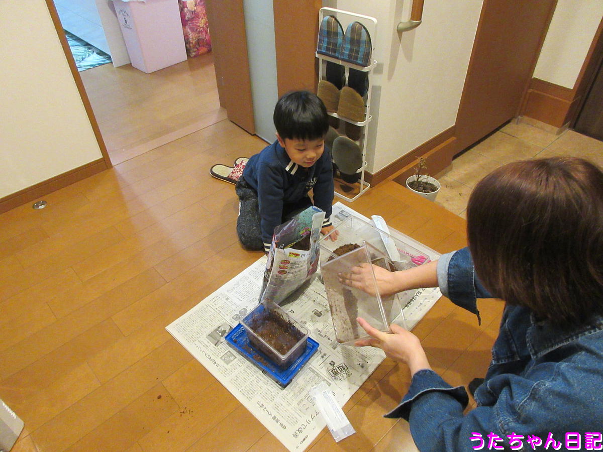 f:id:utachan0831:20210208123715j:plain