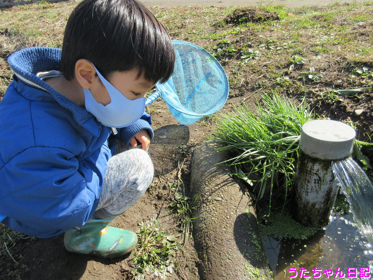 f:id:utachan0831:20210210142319j:plain