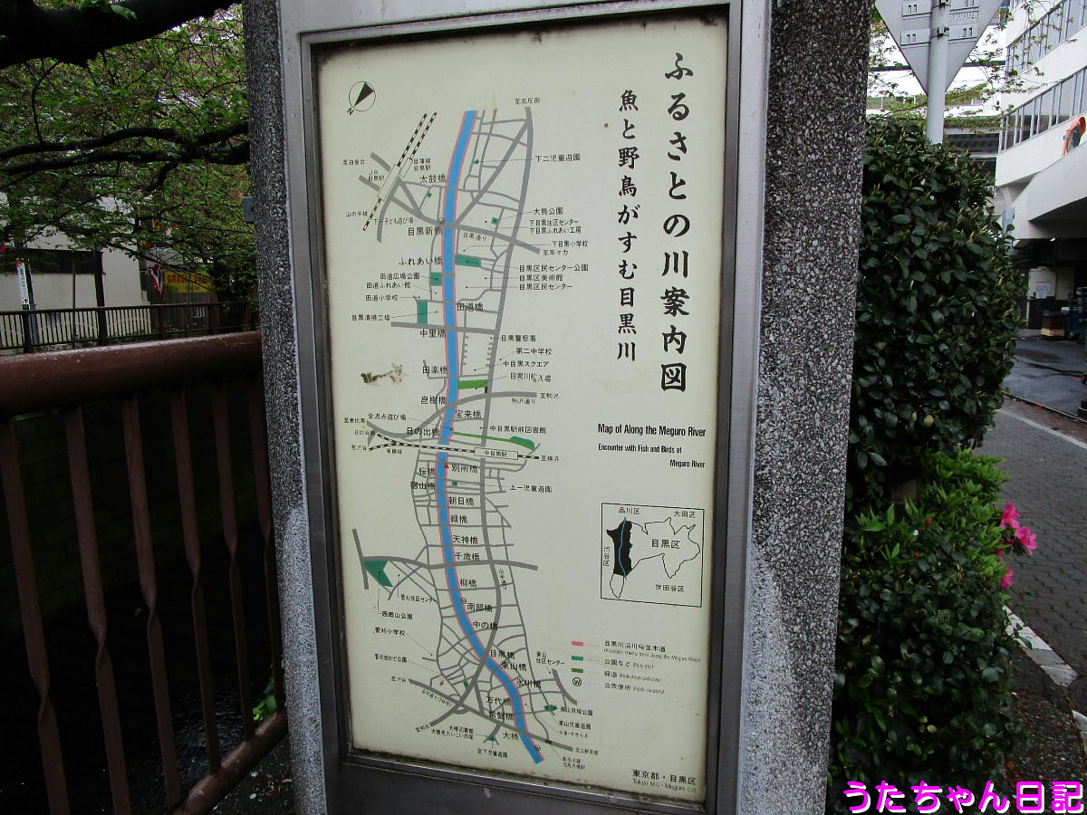 f:id:utachan0831:20210226234346j:plain