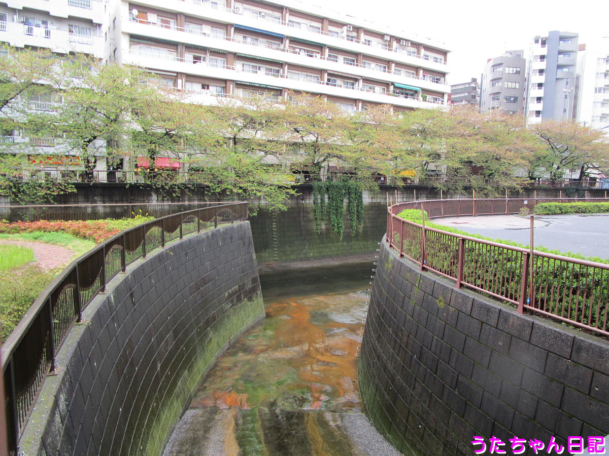 f:id:utachan0831:20210226234359j:plain