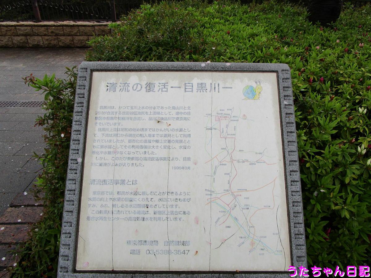 f:id:utachan0831:20210226234630j:plain