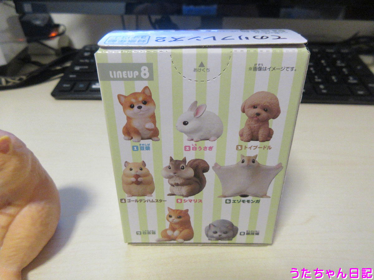 f:id:utachan0831:20210304222930j:plain