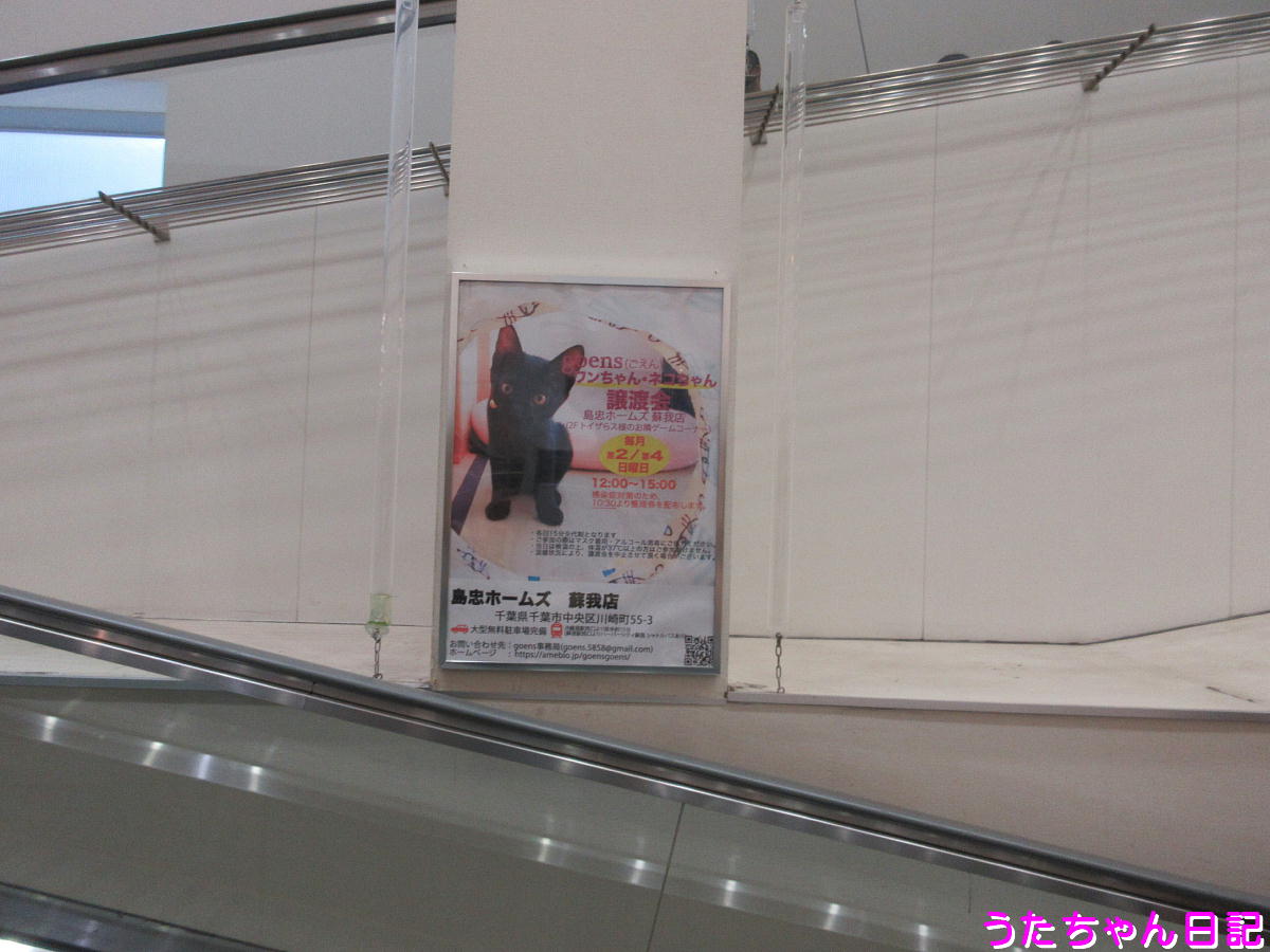 f:id:utachan0831:20210315123544j:plain