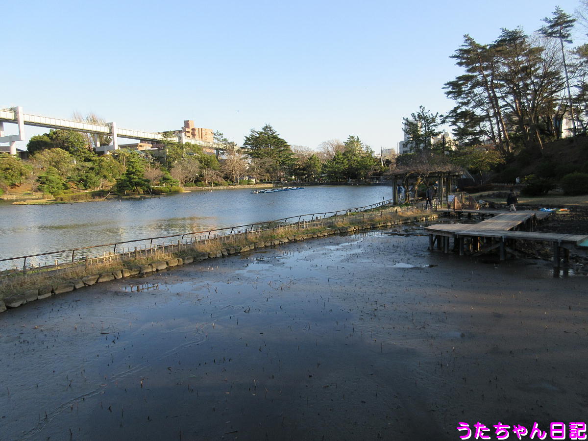 f:id:utachan0831:20210317222041j:plain