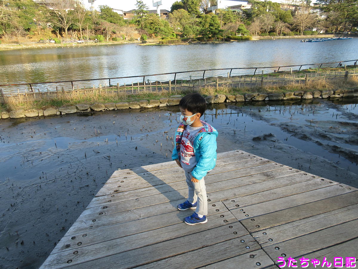 f:id:utachan0831:20210317222103j:plain