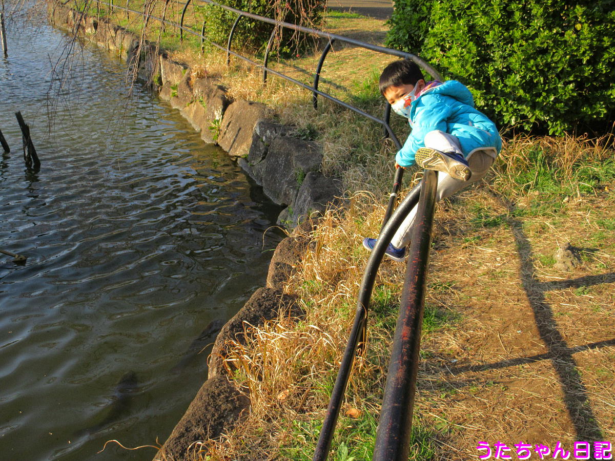 f:id:utachan0831:20210317222136j:plain