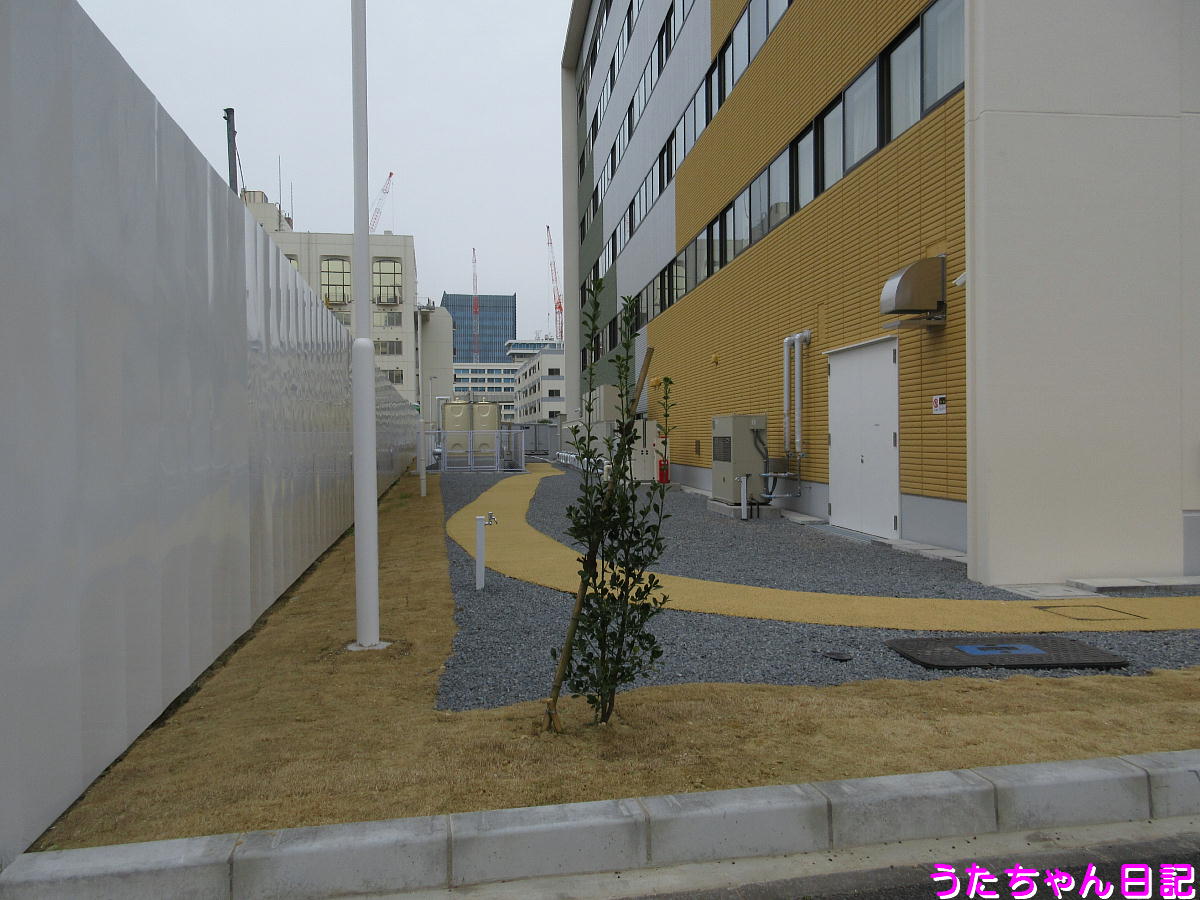 f:id:utachan0831:20210317224743j:plain