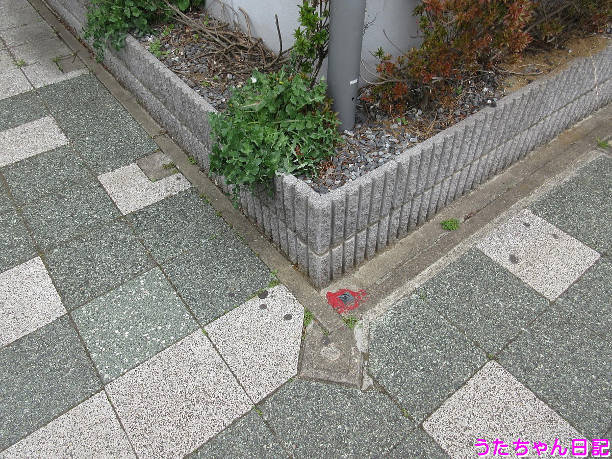 f:id:utachan0831:20210324223544j:plain