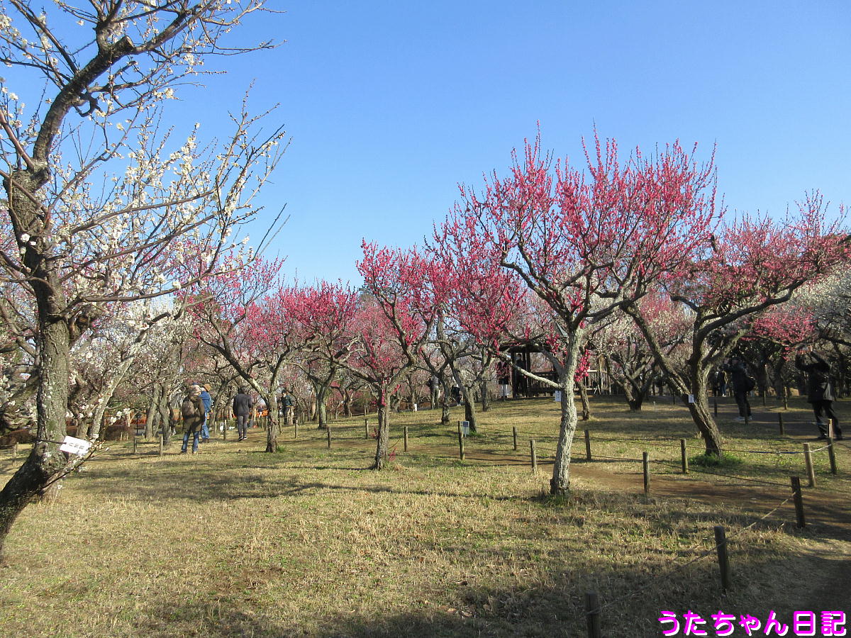f:id:utachan0831:20210406115121j:plain