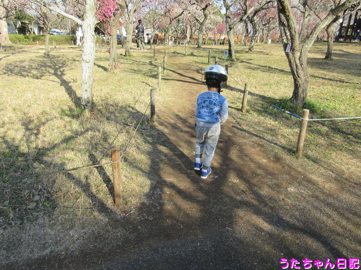 f:id:utachan0831:20210406115133j:plain