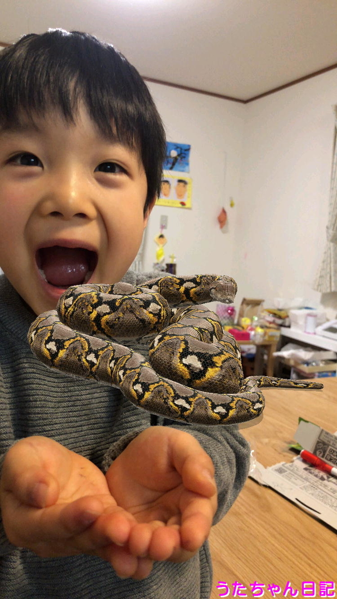 f:id:utachan0831:20210428155720j:plain