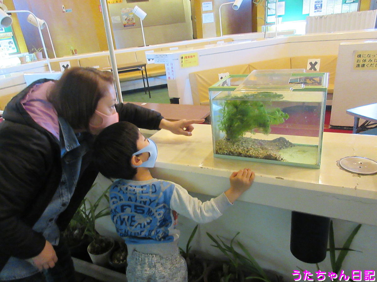 f:id:utachan0831:20210428155801j:plain