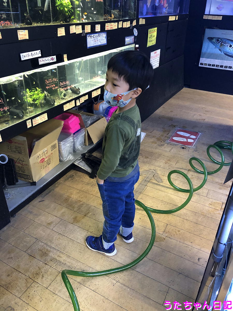 f:id:utachan0831:20210512144653j:plain