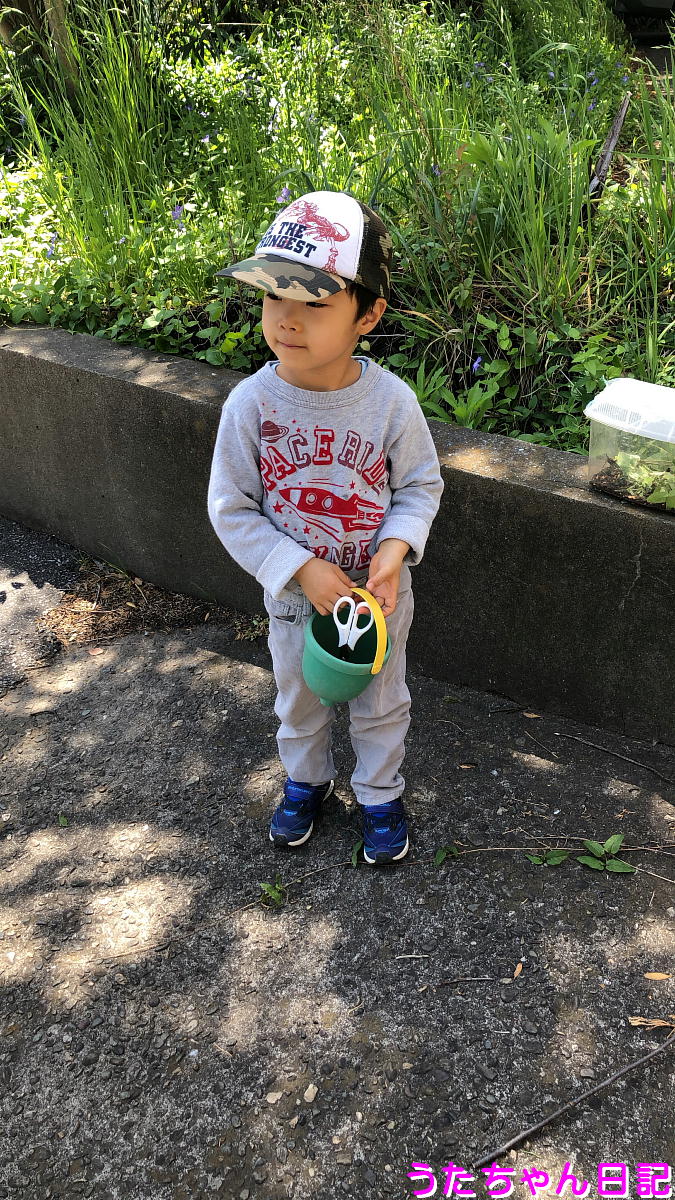 f:id:utachan0831:20210526112951j:plain